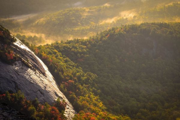 Nature and sunrise