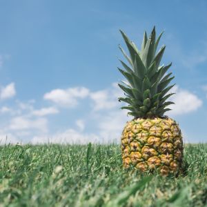 Piña