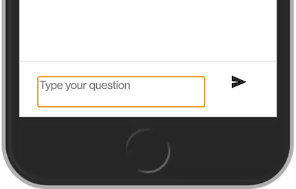 Screenshot from a chat, showing a text field with the placeholder Type your question. Text field in focus.